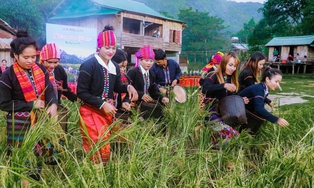 越南少数民族下田节纷纷举行