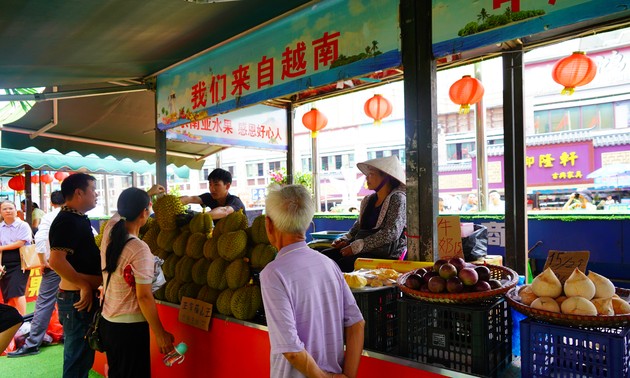 榴莲进口猛增，中国在越中边境地区建设冷链和加工设施