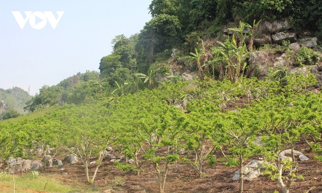 山罗实现成为西北地区高新技术应用中心的目标