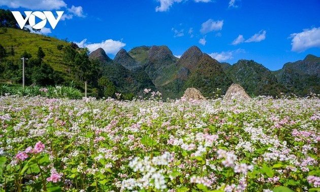 越南荣获2023年世界旅游大奖的地方