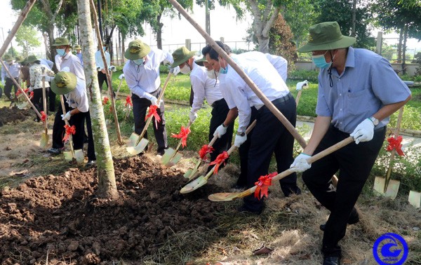 2024年植树节：携手保护环境、应对气候变化