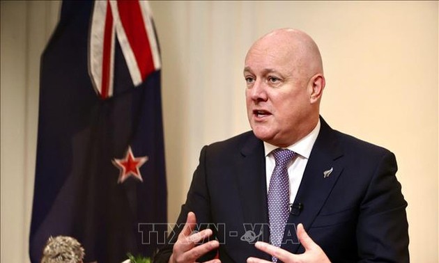 现在正是推动越新关系取得突破性发展的好时机