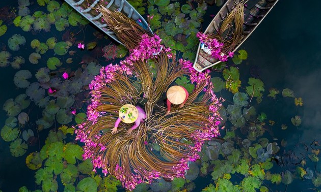 2025年“您对越南知多少”有奖知识竞赛规则