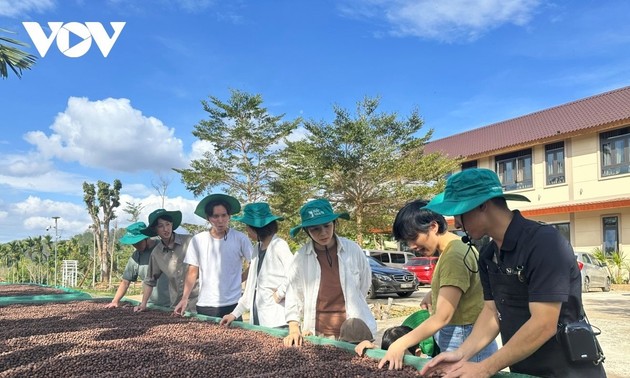 体验多乐省独具特色的咖啡园