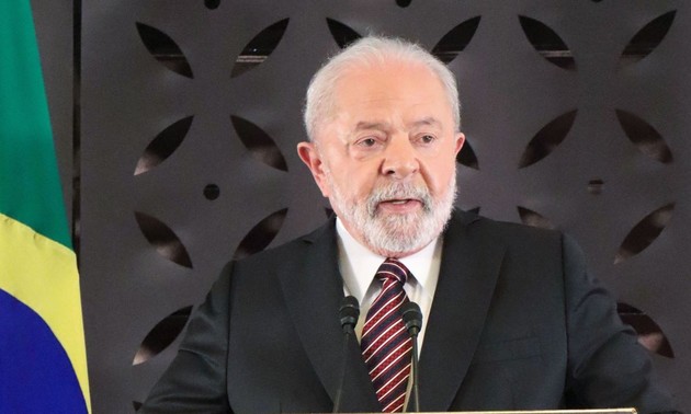 越南与巴西关系的新篇章