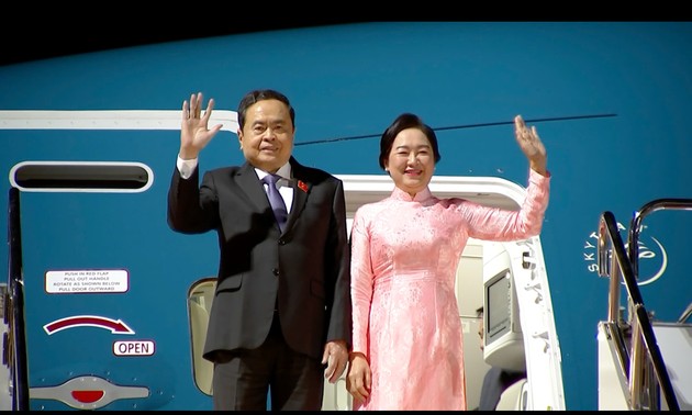 越南支持多边主义，珍视传统友好关系