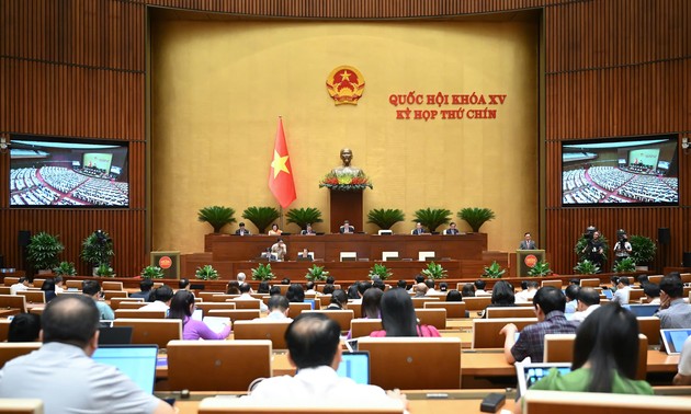 国会通过2013年版宪法若干条款修改补充决议