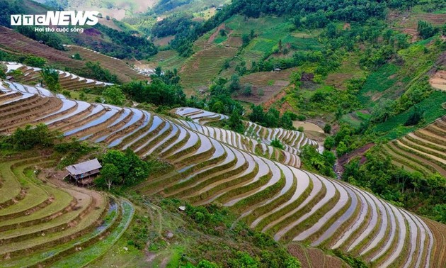 老街梯田灌水季令人陶醉