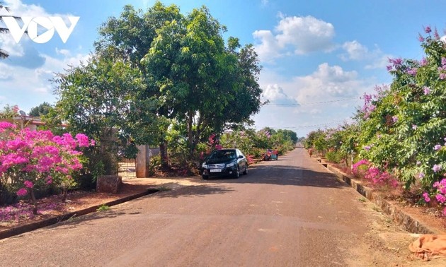   嘉莱省少数民族地区的新农村建设模式