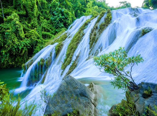 到宣光省板巴瀑布体验“森林浴”、欣赏越北山林之美