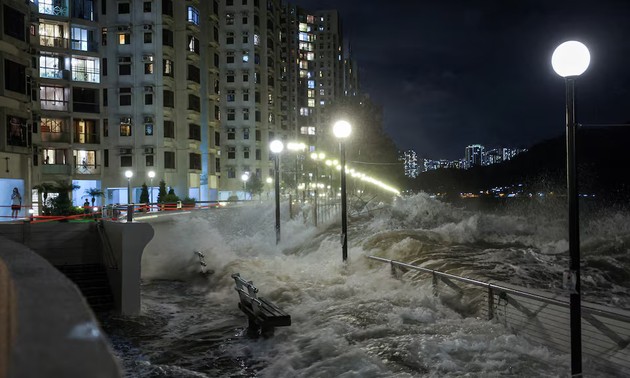 中国提升台风“桦加沙”应急响应级别