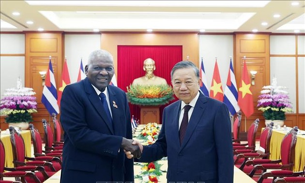 苏林会见古巴全国人民政权代表大会主席