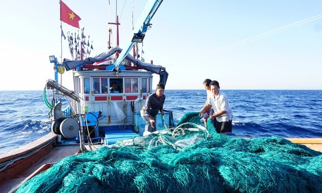 越南出台打击非法、不报告和不管制捕捞行为高峰月行动计划