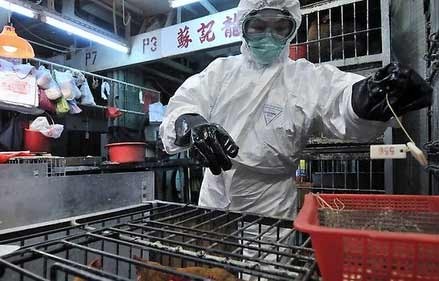 Tiongkok mengkonfirmasikan lagi dua orang yang terkena virus flu tipe H7N9