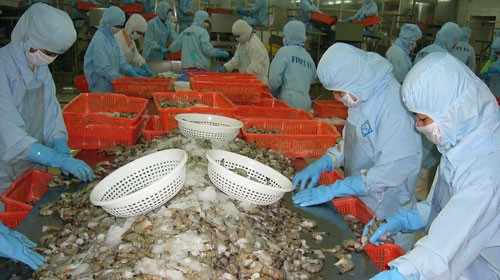 Tarif anti dumping terhadap udang eks Vietnam turun secara drastis