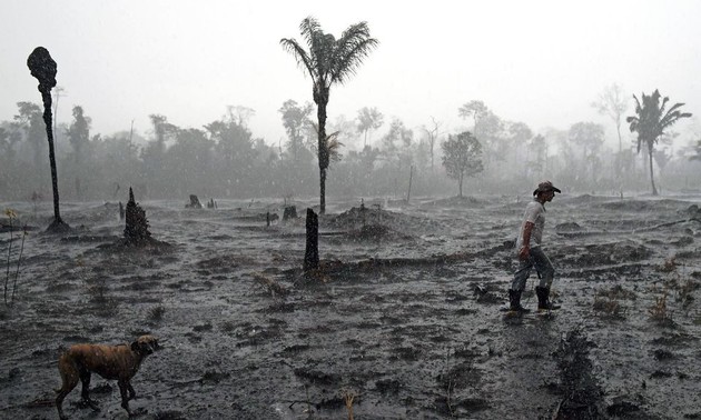 Sept pays d’Amérique du Sud signent un pacte pour défendre l’Amazonie