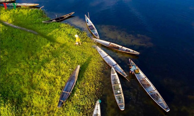 Le charme du marais de Quang Loi