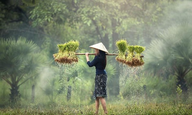 Comment garantir la sécurité alimentaire en Asie-Pacifique?