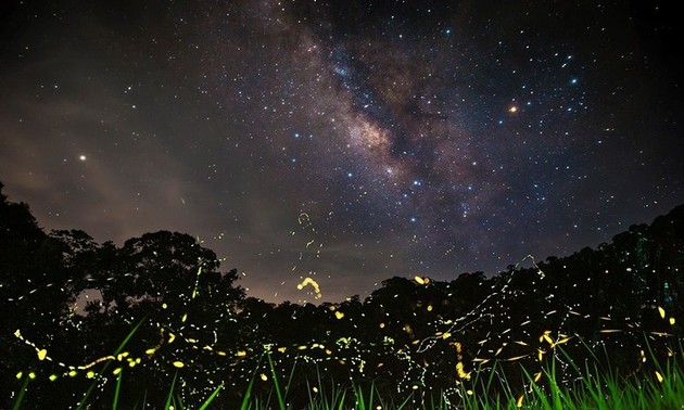 Cuc Phuong, meilleur parc national d’Asie en 2021