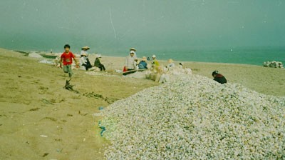 Die Geschichte von einem Fischerdorf in Ha Tinh