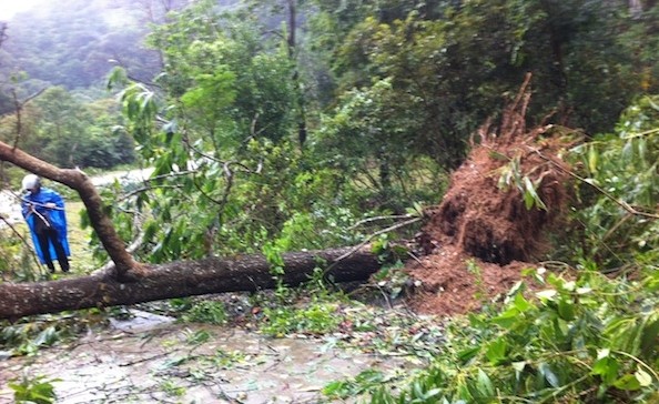 Vietnam: 13 Tote beim Taifun Haiyan