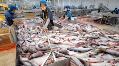 Strafzölle gegen Pangasius aus Vietnam soll fair sein