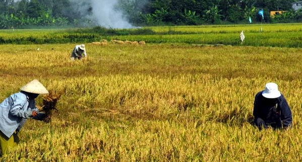 Verstärkung der Zusammenarbeit zwischen Vietnam und Sudan 