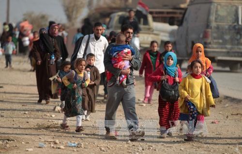 Irak: Fast 42.000 Menschen seit Beginn der Mossul-Offensive geflohen