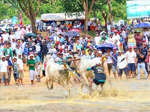 Bewahrung des Bullenrennens in Bay Nui