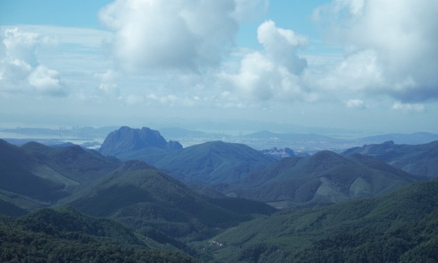 Entdeckung des Naturschutzgebiets innerhalb der Stadt Ha Long