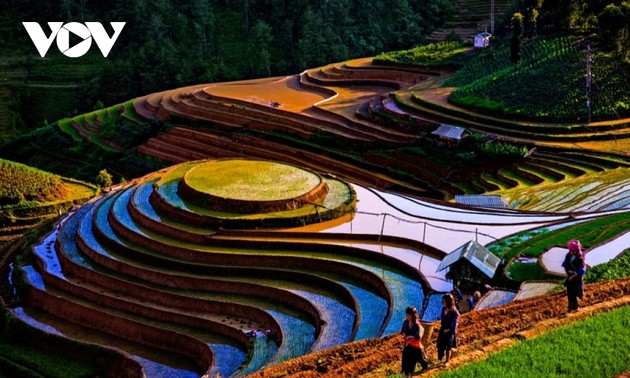 Maler vom “Klebreistablett” im Hochland von Mu Cang Chai