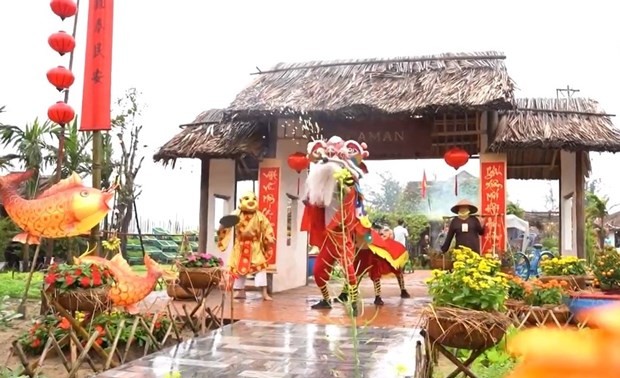 Aktivitäten zum Jahr der Katze in Hoi An