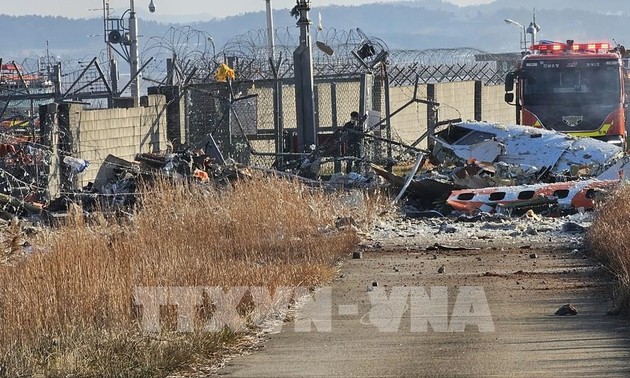 Flugzeugunglück in Südkorea: Todeszahl steigt stark