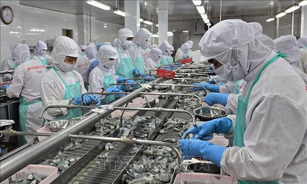 Exportvolumen von Fisch und Meeresfrüchten kann elf Milliarden US-Dollar erreichen
