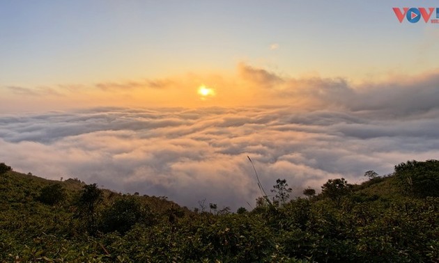 Das Wolkenparadies Ta Xua – Ein globales Reiseziel für 2026