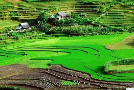 山萝省旅游业走上新发展道路