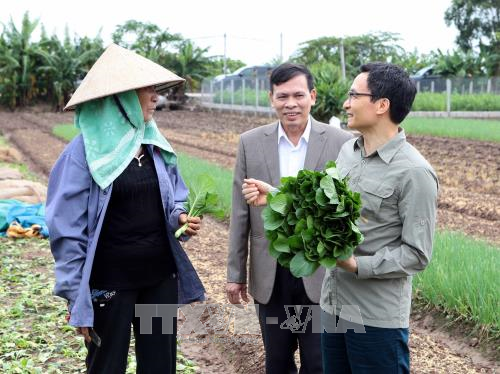 越南政府副总理武德但对兴安省无公害蔬菜生产模式进行考察