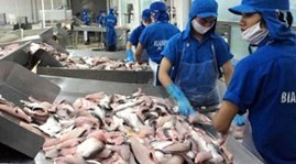 Nachhaltige Produktion von Pangasius für den Export