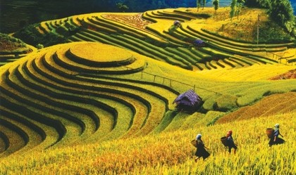 Mu Cang Chai und die Reisterassen