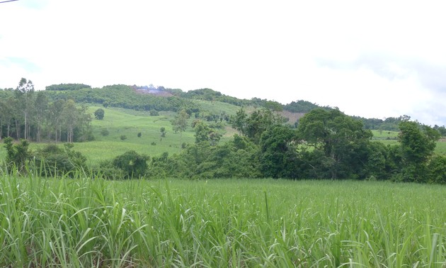 Lebensänderung in einer Gebirgsgemeinde in Phu Yen