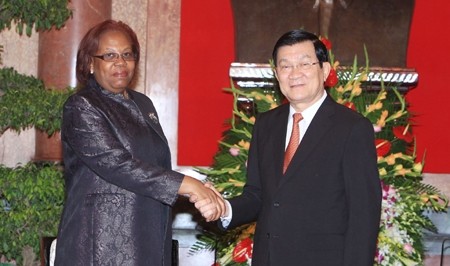 Staatspräsident Truong Tan Sang trifft Minister aus Angola und Kongo