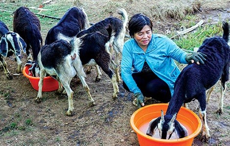 Jugendliche Vorbilder beim Aufbau landwirtschaftlicher Modelle zur Anpassung an den Klimawandel