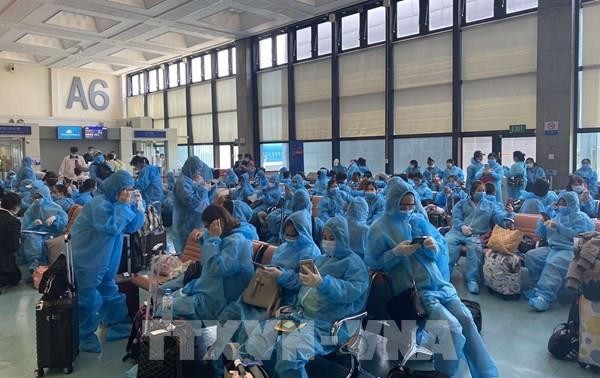 340 Vietnamesen aus Singapur in die Heimat Vietnam gebracht