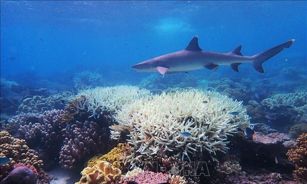 Weltgemeinschaft verpflichtet sich, Verlust der Biodiversität zu stoppen