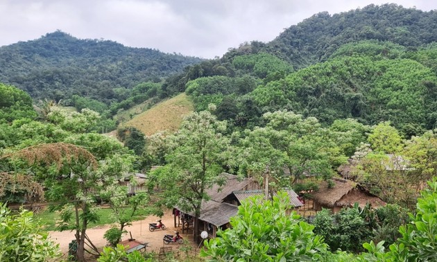 Quang Binh achtet auf sozialwirtschaftliche Entwicklung in entlegenen Gebieten