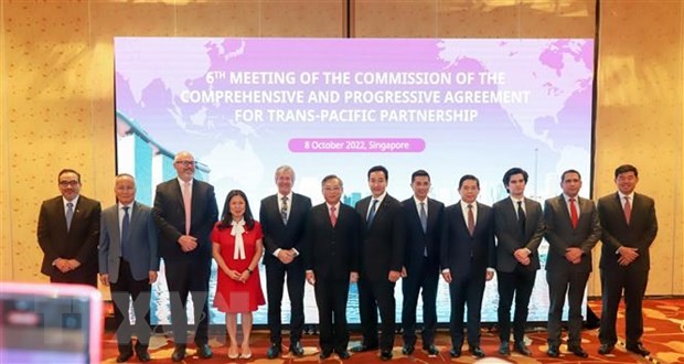 Vietnam nimmt an der 6. Sitzung des Rates des CPTPP teil