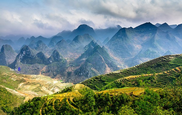 Den Titel Dong Van-Kalkplateau-Geopark bald übergeben