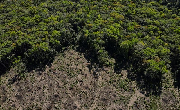 EU-Parlament stimmt für verbindliche CO2-Reduktion durch Wälder und Böden