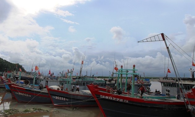 Thanh Hoa fördert die Aufklärung gegen illegale Fischerei