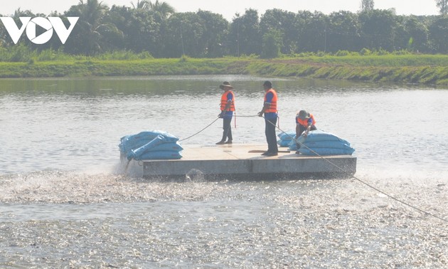 Pangasiuszucht im Mekong-Delta strebt Kreislaufwirtschaft und Reduktion von Treibhausemissionen an